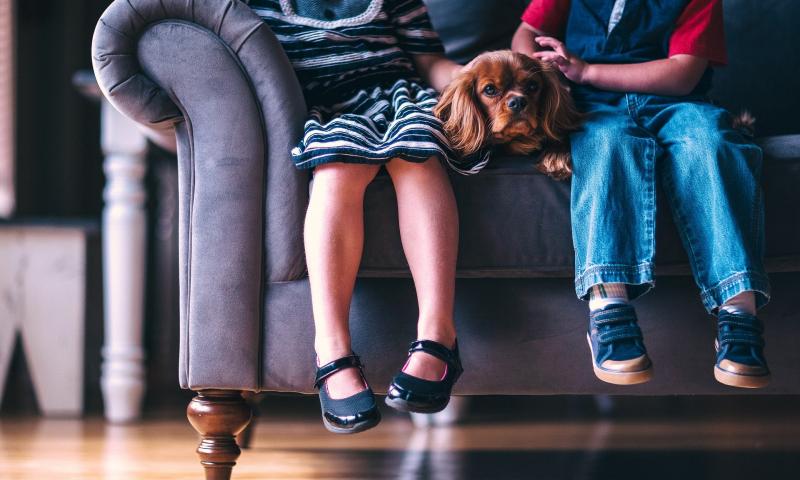 15 razlogov, zakaj so psi najboljši hišni ljubljenčki na svetu