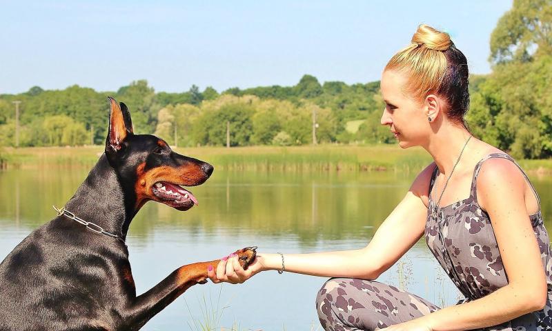 Kako negovati tačke?