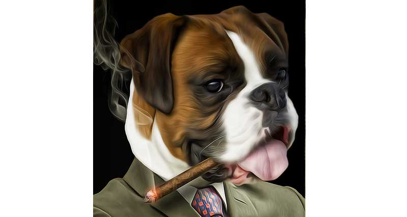 Kako cigaretni dim vpliva na kužkovo zdravje